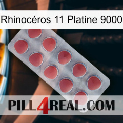 Rhinocéros 11 Platine 9000 18